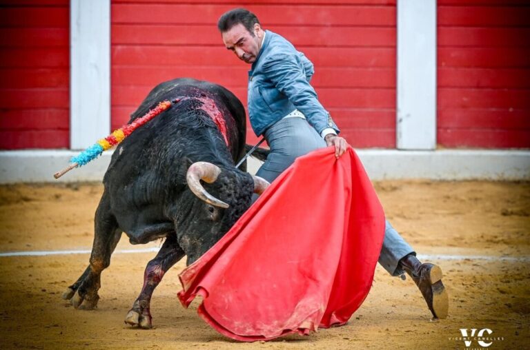 Enrique Ponce réapparaîtra au festival hommage à David de Miranda à Trigueros


