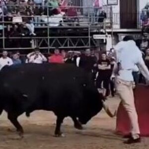 Fortes, comme une autre couche à Arganda del Rey