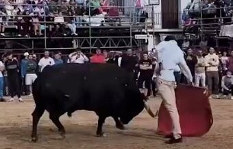 Fortes, comme une autre couche à Arganda del Rey