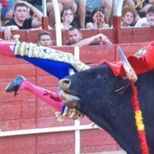 Goring le torero catalan Adame Espinosa : « 25-30 cm. qui affecte le vaisseau externe et l'épine iliaque » après avoir tourné le piton de la cuisse