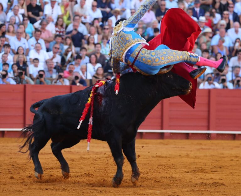 Ignacio Garibay se transforme, un bon torero naturel et revient sur le ring dans le deuxième


