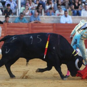 Jesús de la Calzada se distingue comme le vainqueur de l'Alfarero de Oro y Cuadri avec le meilleur bétail