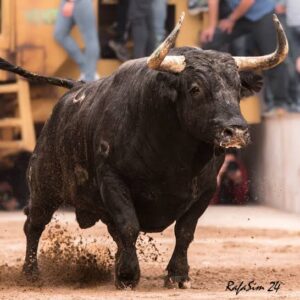 La Generalitat Valenciana défend et justifie les exigences du nouveau règlement taurin