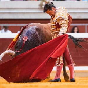 La finesse des Urdiales et la puissance de Roca Rey règnent à La Ribera