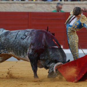 La personnalité de Ruiz de Velasco et l'émotion d'Ana Romero ouvrent l'Alfarero