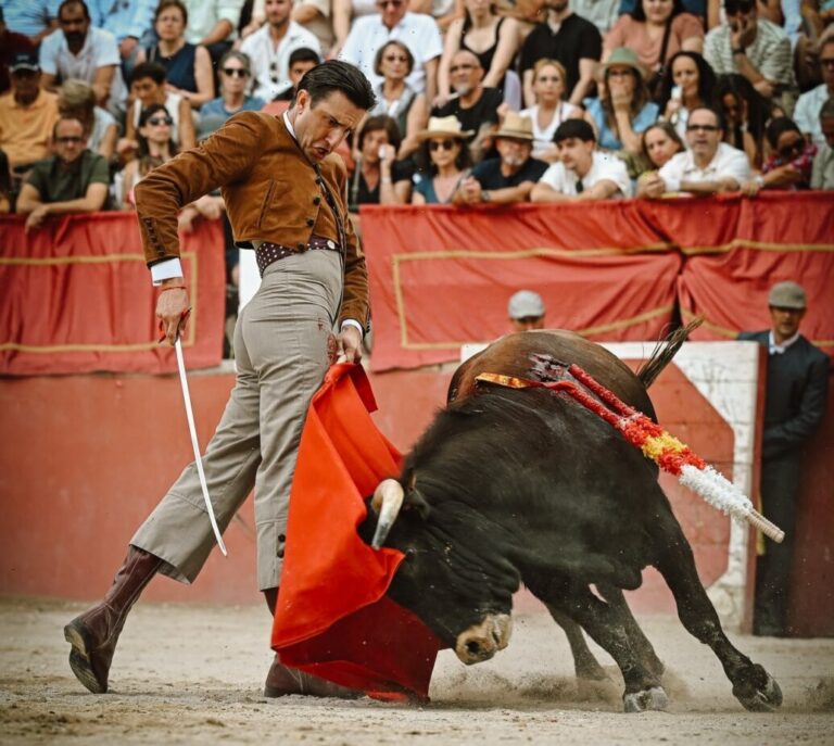La tauromachie de Castellón se concentre sur l'hommage à Josele à Benassal