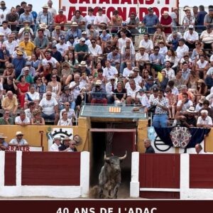 Le bastion des arènes de Céret avance les dates de son 40ème anniversaire historique