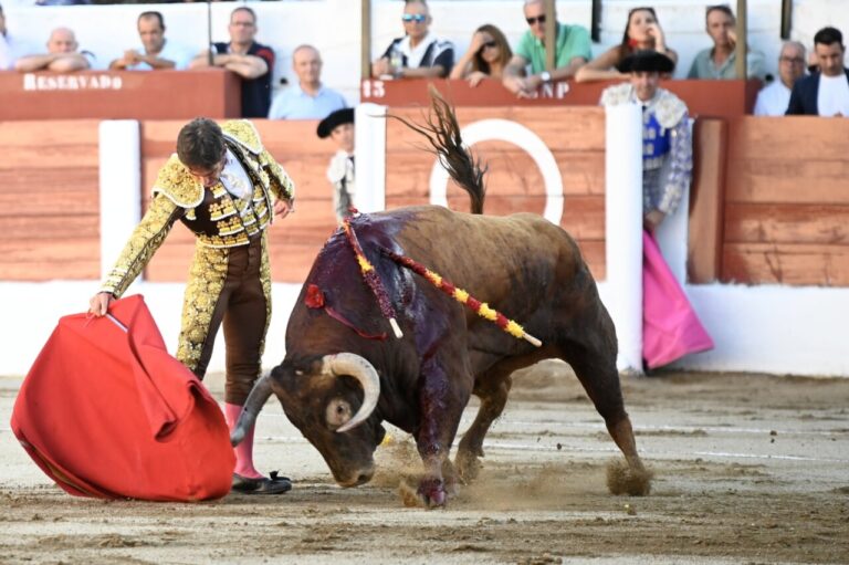 Le torero David Gil, admis aux soins intensifs après avoir subi une grave blessure au cou


