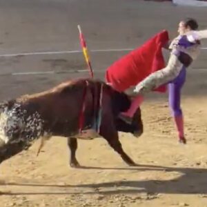 López Peregrino, grave encornure à la cuisse gauche sur deux trajets de 20 et 10 cm. qui atteint le fémur, brise le biceps fémoral et atteint la fosse poplitée