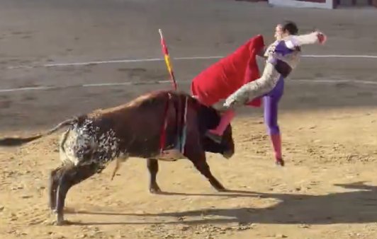 López Peregrino, grave encornure à la cuisse gauche sur deux trajets de 20 et 10 cm. qui atteint le fémur, brise le biceps fémoral et atteint la fosse poplitée


