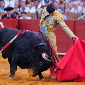 Pablo Aguado, le torero