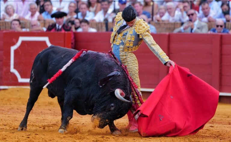 Pablo Aguado, le torero


