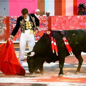 Payo et Román se démarquent dans un après-midi sans épée dans l'insurrection d'Aguascalientes