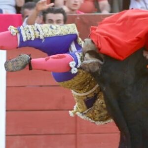 Séquence vidéo et photographique de l'attaque choquante d'Adame Espinosa à Mejorada del Campo