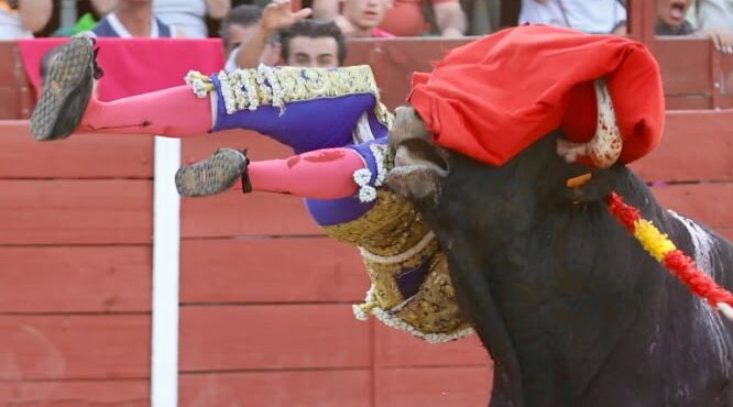 Séquence vidéo et photographique de l'attaque choquante d'Adame Espinosa à Mejorada del Campo


