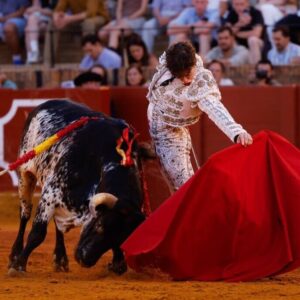 Valence, la tauromachie en mode espoir