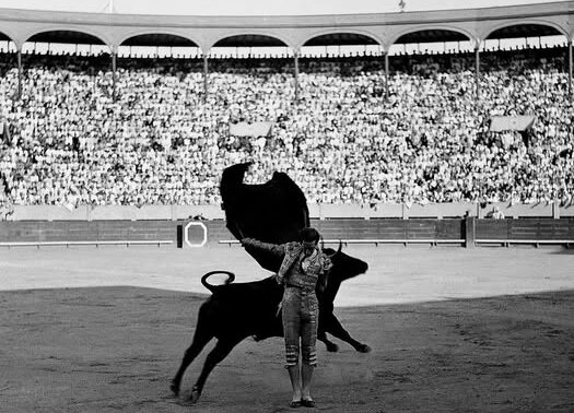 De Manolete à Roca Rey : huit décennies de la Foire du Seigneur des Miracles de Lima


