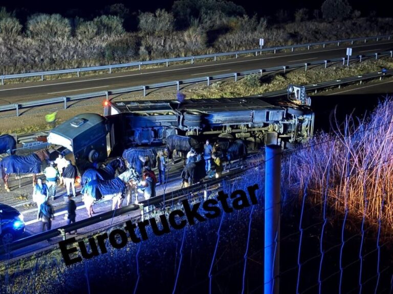 Grave accident du camion de Diego Ventura avec plusieurs chevaux blessés


