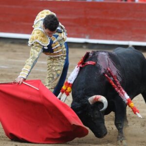 Le courage de David de Miranda et le savoir-faire de Tomás Rufo se démarquent à Lima