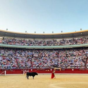 Manuel Escribano, deux oreilles du bon tiers de Victorino à Jaén