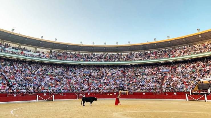 Manuel Escribano, deux oreilles du bon tiers de Victorino à Jaén


