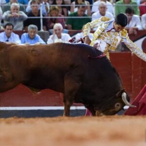 Marco Pérez remporte le prix de la meilleure œuvre à la Foire de Salamanque