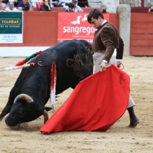 Neuf oreilles au festival caritatif de Ledesma